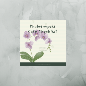 phalaenopsis cover